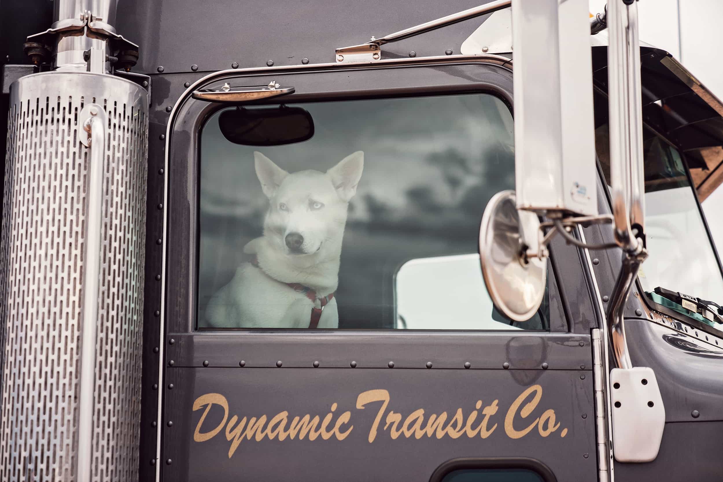 Otr Sprinter Van Driving Jobs - z6gwkwv